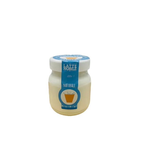 Yaourt nature- 125g